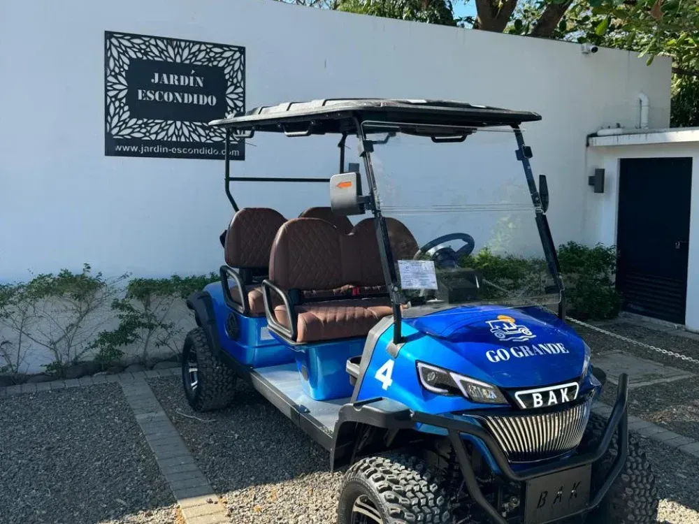 Four seater golf cart with all four seats facing forward, delivered in Playa Grande