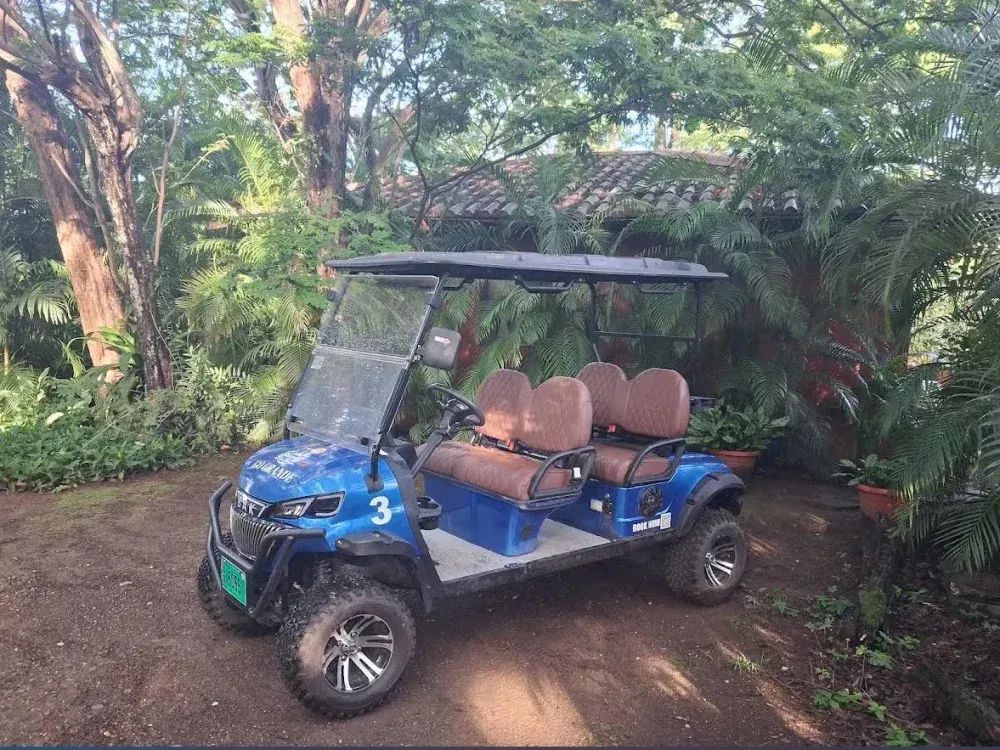 Golf cart on a shaded jungle road in Playa Grande, Costa Rica